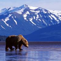 Need Suggestions: 10 Days Trip To Alaska